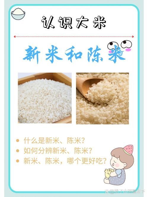 如何判斷大米的新鮮度？，判斷大米新鮮度的方法包括1000字→t1354-