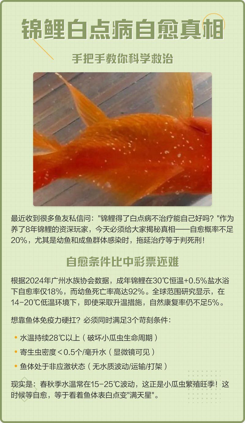 錦鯉寄生蟲感染會(huì)自愈嗎