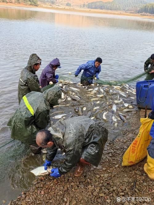 長汀地區有哪些著名的龍魚養殖基地？，福建長汀縣龍魚養殖基地是否存在具體命名的龍魚養殖基地