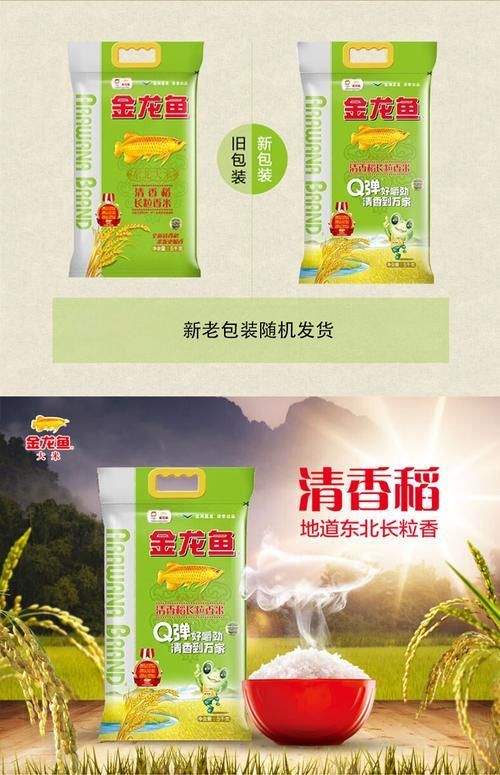 金龍魚大米的主要產(chǎn)品有哪些，金龍魚大米怎么樣