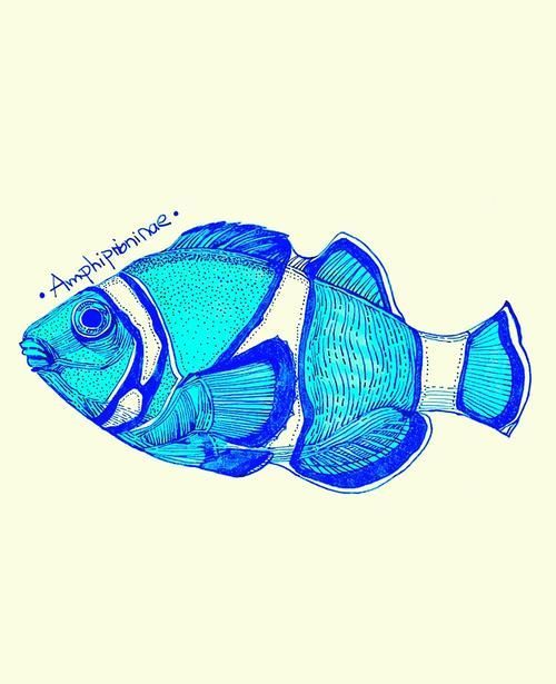 請提供更多關于觀賞魚色彩形成的圖片，關于觀賞魚色彩形成的奧秘