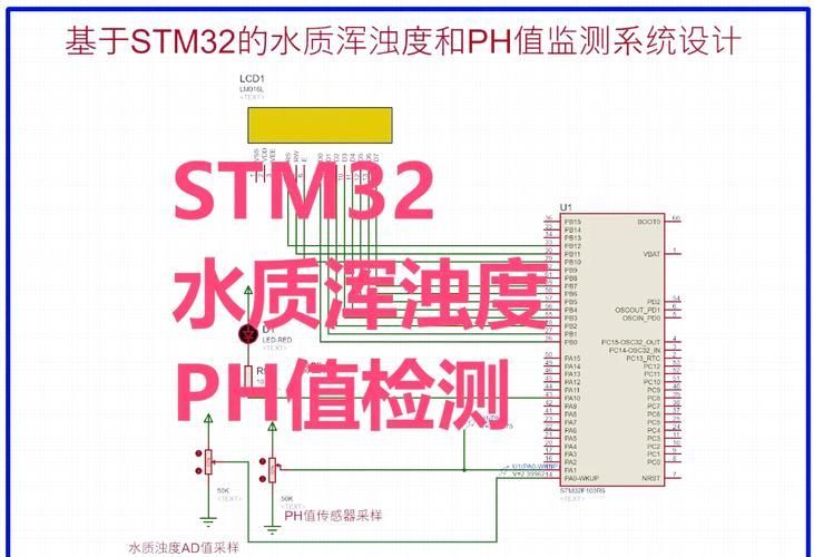 陽東龍魚養殖技術有哪些？，陽東地區龍魚養殖技術詳解