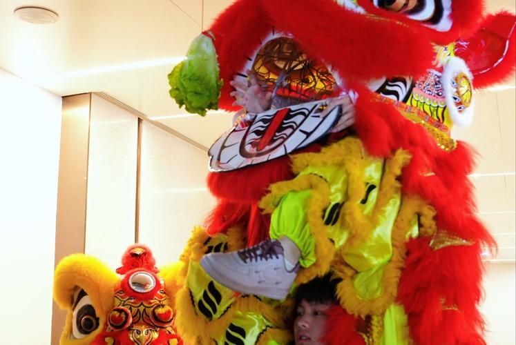 鯉城龍魚節有哪些活動？，2026年鯉城龍魚節