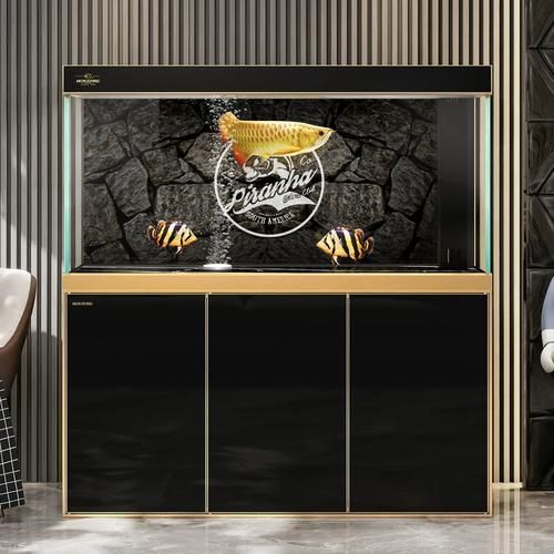 有哪些品牌推薦養龍魚的魚缸？，養龍魚的魚缸品牌推薦