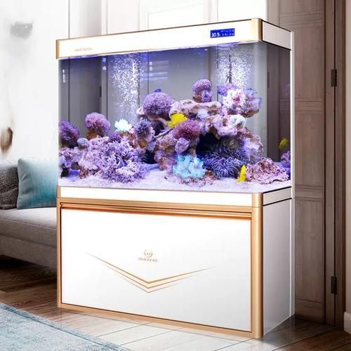有哪些品牌推薦養龍魚的魚缸？，養龍魚的魚缸品牌推薦
