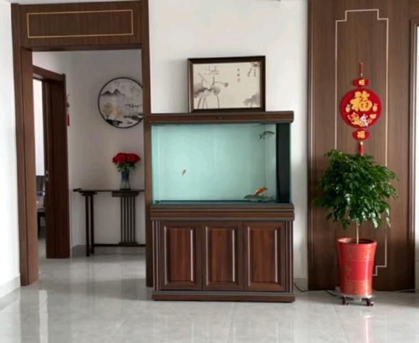 有哪些品牌推薦養龍魚的魚缸？，養龍魚的魚缸品牌推薦