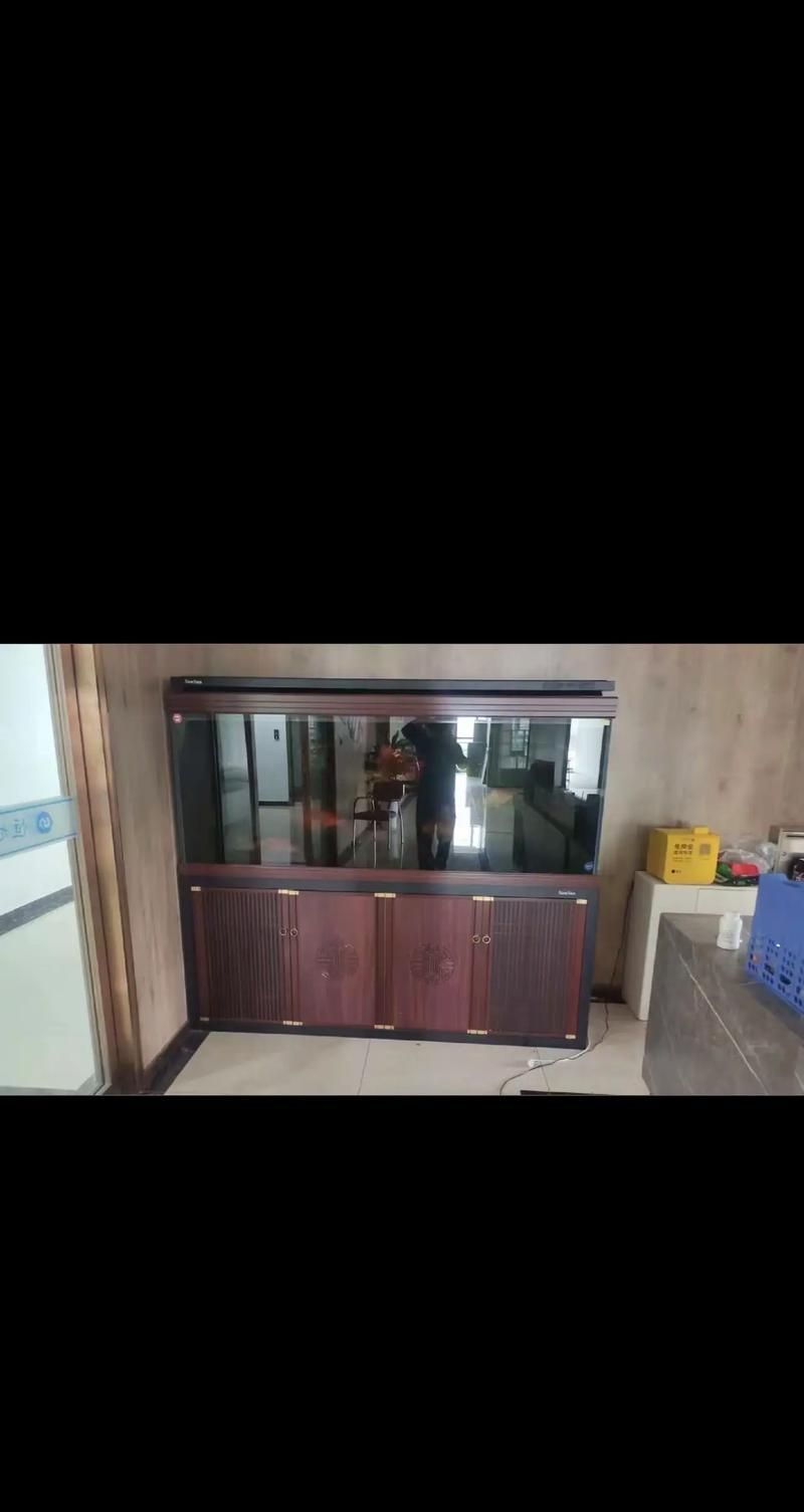 有哪些品牌推薦養龍魚的魚缸？，養龍魚的魚缸品牌推薦