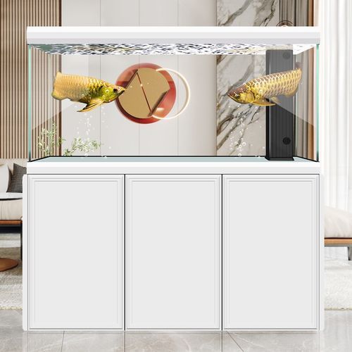 有哪些品牌推薦養龍魚的魚缸？，養龍魚的魚缸品牌推薦