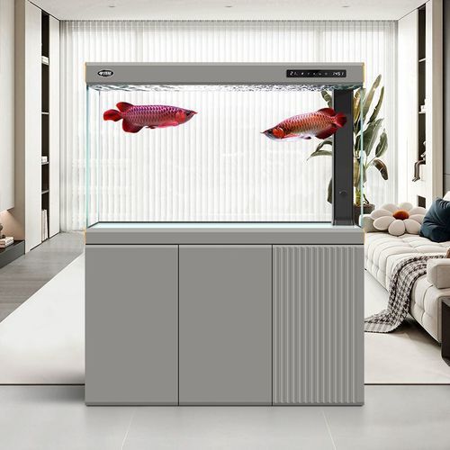 有哪些品牌推薦養龍魚的魚缸？，養龍魚的魚缸品牌推薦