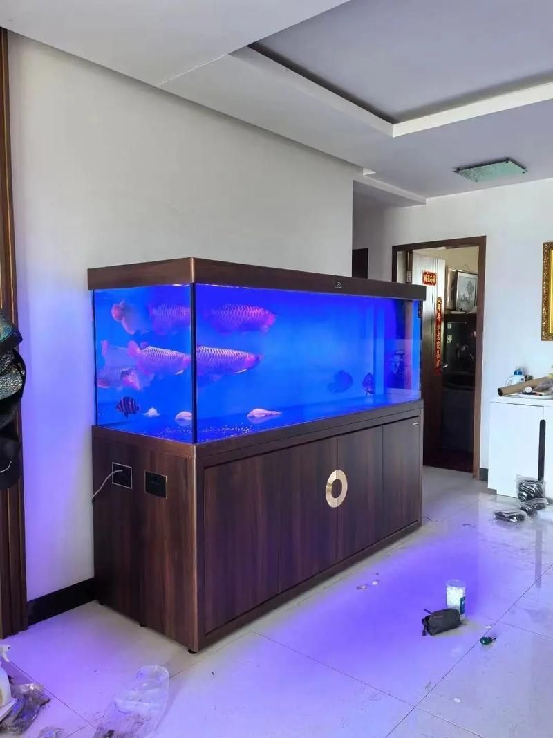 有哪些品牌推薦養龍魚的魚缸？，養龍魚的魚缸品牌推薦