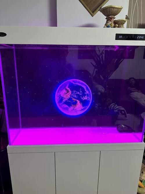 有哪些品牌推薦養龍魚的魚缸？，養龍魚的魚缸品牌推薦