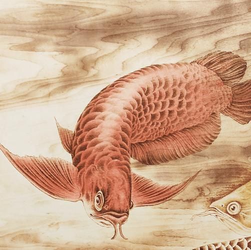 能否提供更多龍魚浮頭藝術作品，龍魚浮頭藝術作品