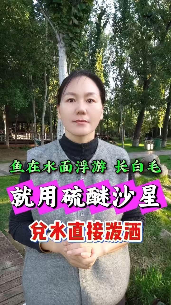 哪些藥物可以有效治療魚塘水霉病，哪些藥物可以有效治療魚塘水霉病,治療魚塘水霉病，關(guān)鍵在于