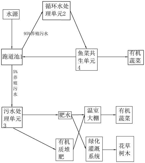 如何預防龍魚鰭爛再次發生，如何預防龍魚鰭爛