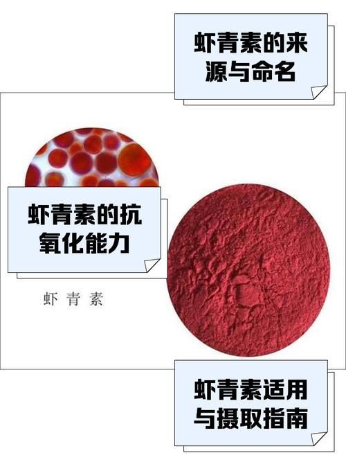給我推薦一些龍魚發色視頻教程，“龍魚發色視頻教程”視頻教程（id=5）