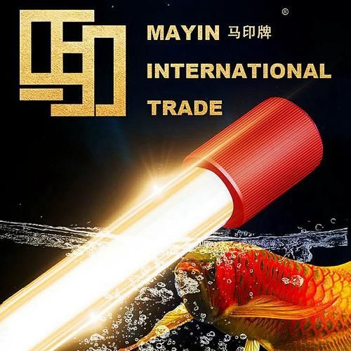 有哪些品牌推薦龍魚側(cè)燈？，龍魚側(cè)燈品牌對比表馬印龍魚側(cè)燈適合哪些魚缸