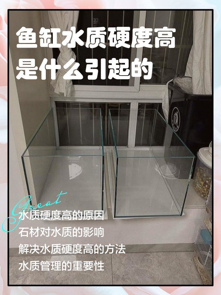 張北龍魚養殖技術有哪些難點，張北龍魚養殖技術