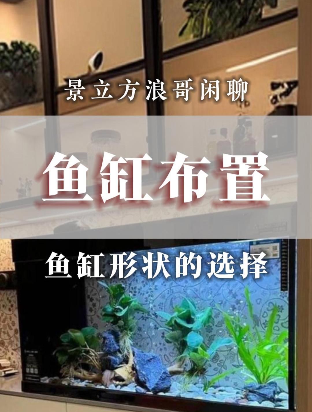 魚缸形狀與方位有何關聯，魚缸形狀與方位有何關聯魚缸形狀與方位在風水中緊密關聯