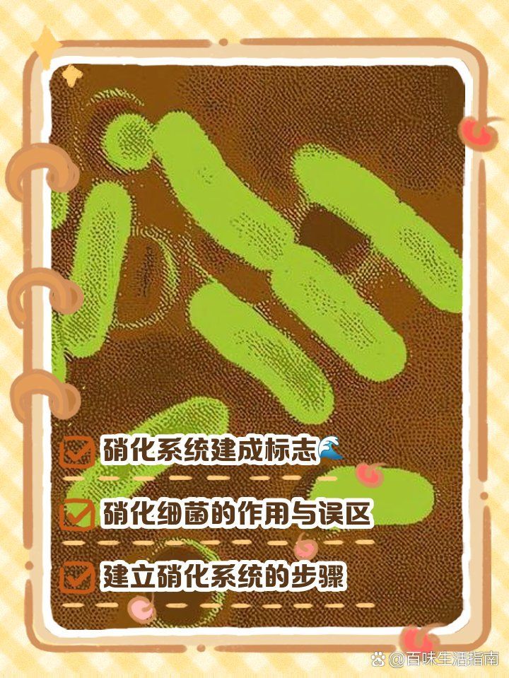 如何判斷硝化細(xì)菌是否已建立，如何判斷魚缸硝化細(xì)菌是否已建立