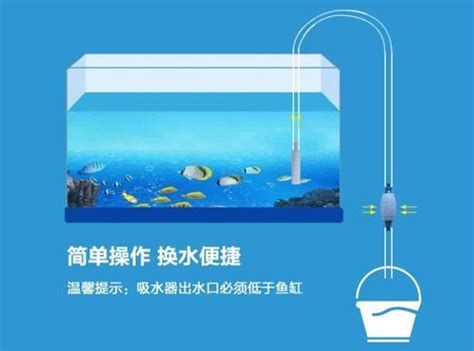 龍魚跳缸后需要換多少水？