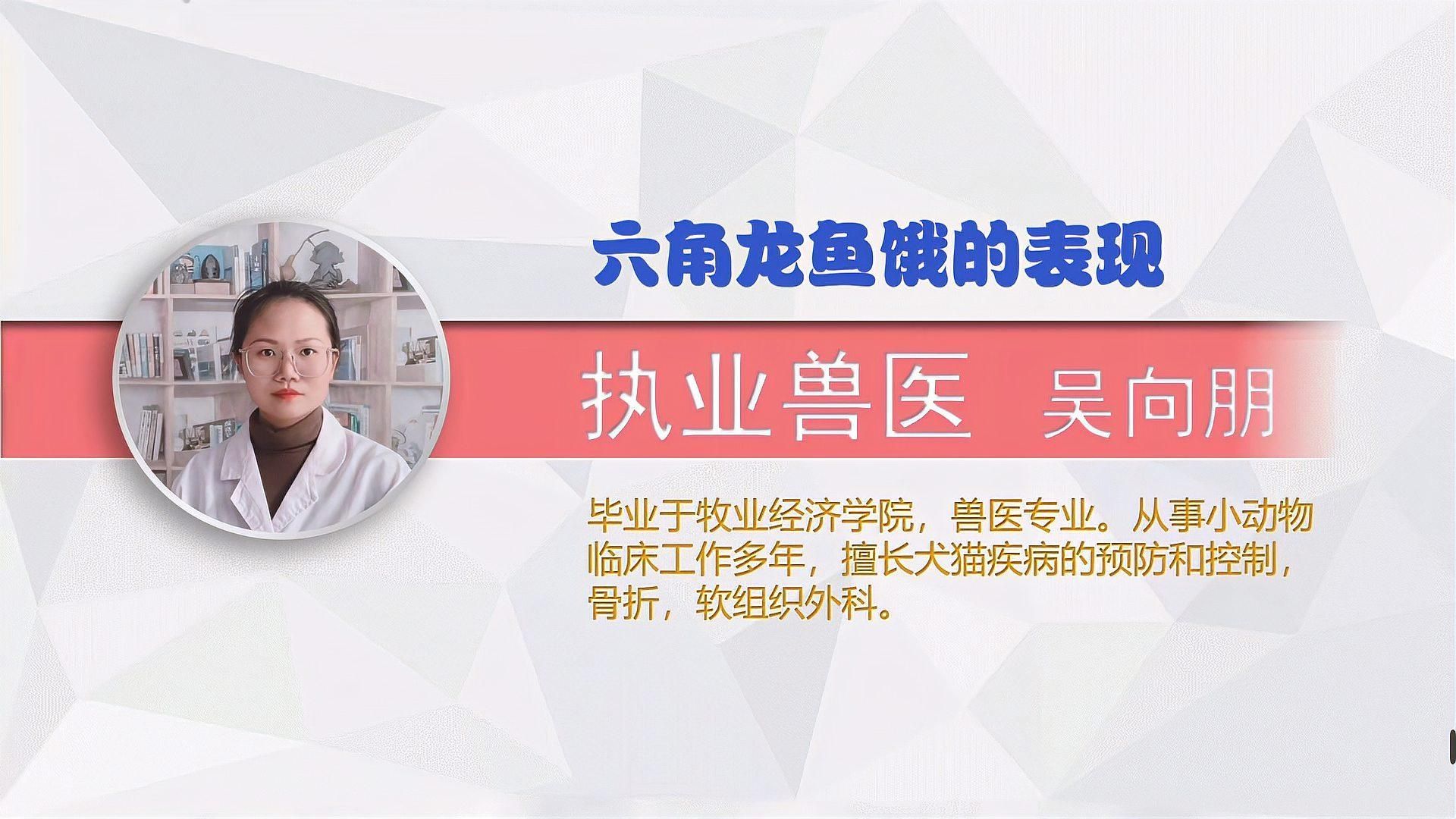 龍魚餓多久會有反應，龍魚餓多久會有反應，龍魚喂食計劃表