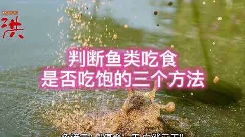 有哪些跡象表明母魚已經吃飽