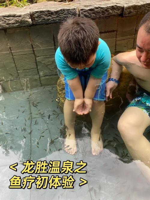 如何預防龍魚外寄生蟲，如何預防龍魚外寄生蟲調用工具arxiv論文助手