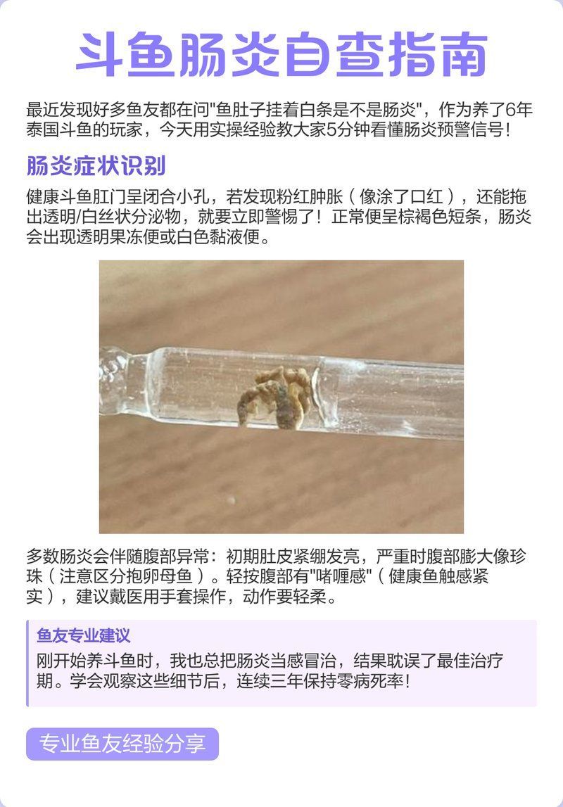如何判斷曼龍魚是否健康？，如何判斷曼龍魚健康？