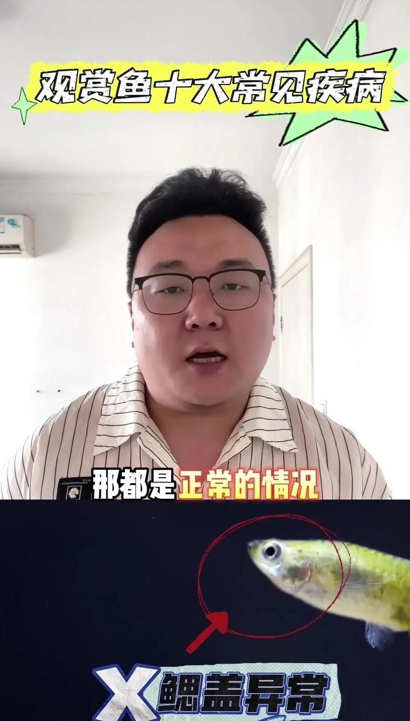 魚呼吸急促會死亡嗎，魚呼吸急促會死亡嗎,