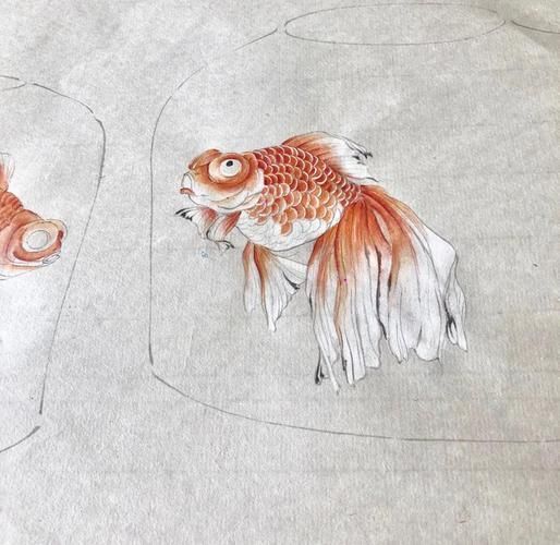 有沒有國畫金魚的視頻教程，國畫金魚教學視頻