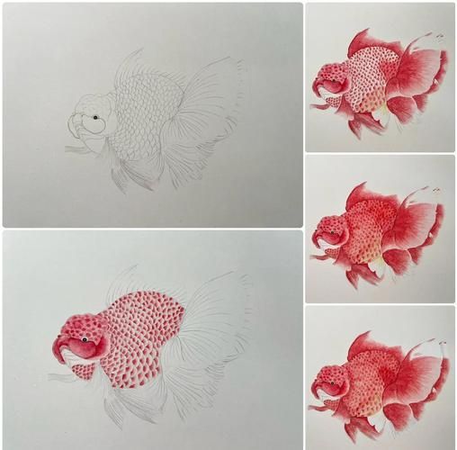 有沒有國畫金魚的視頻教程，國畫金魚教學視頻