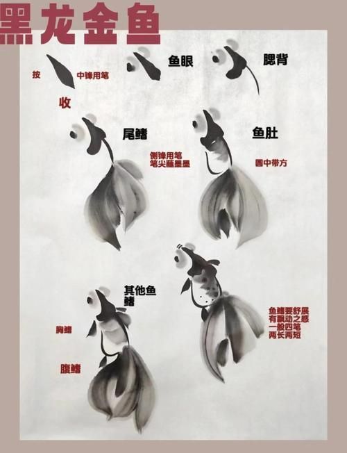 有沒有國畫金魚的視頻教程，國畫金魚教學視頻