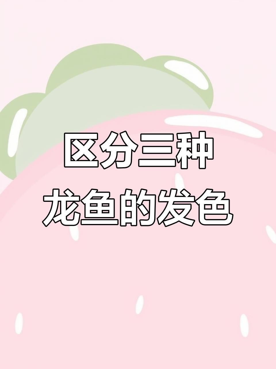 給我推薦一些適合家庭養殖的龍魚品種，家庭養殖的龍魚品種：龍魚飼養指南