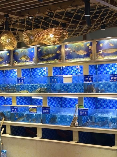 如何聯(lián)系祥龍魚場(chǎng)咨詢配魚？，成都祥龍魚場(chǎng)咨詢配魚場(chǎng)咨詢配魚項(xiàng)目要求詳解