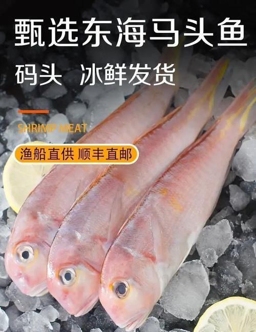 舟山漁場(chǎng)有哪些著名魚類，舟山漁場(chǎng)有哪些著名的魚類，如何保護(hù)舟山漁場(chǎng)生態(tài)環(huán)境