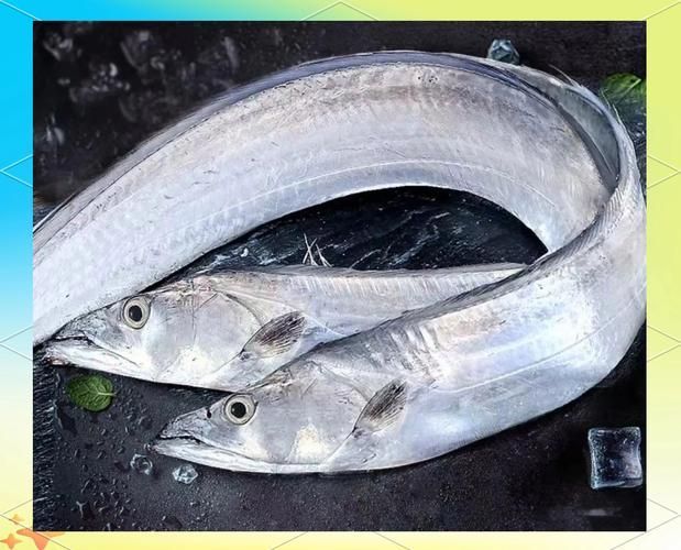 舟山漁場(chǎng)有哪些著名魚類，舟山漁場(chǎng)有哪些著名的魚類，如何保護(hù)舟山漁場(chǎng)生態(tài)環(huán)境