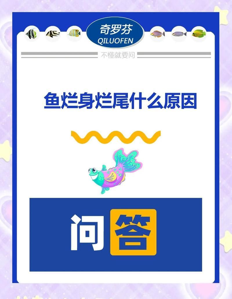 魚身上潰爛能活多久，魚身上潰爛能活多久，