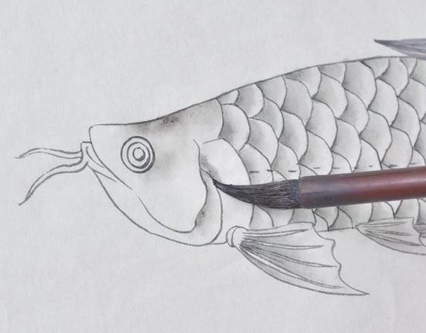 金龍魚畫法步驟圖解，水墨金龍魚的畫法步驟圖解