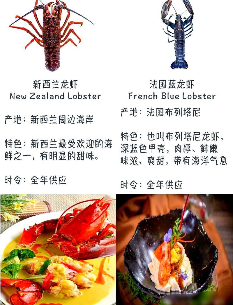 有哪些常見(jiàn)的龍蝦品種，12種常見(jiàn)的龍蝦品種，六角龍的繁殖行為是怎樣的