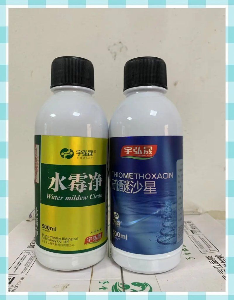 能否提供更多預防水霉病的技巧，如何預防水霉病