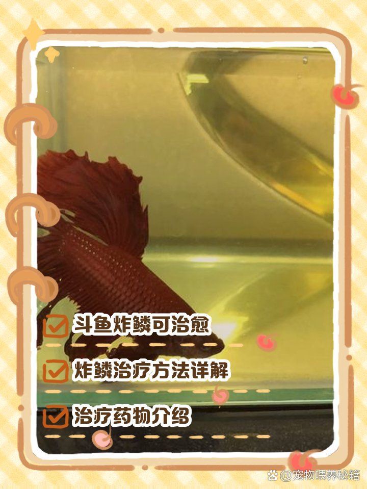 亞甲基藍(lán)治療炸鱗需要多久一個療程，亞甲基藍(lán)治療炸鱗需要多久