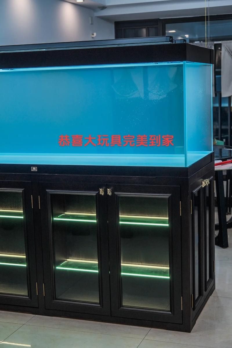 祥龍魚場是否提供龍魚缸的圖片？