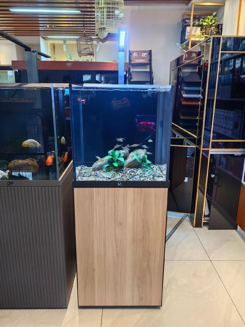 仟湖魚缸的價格范圍是多少？，仟湖魚缸價格因型號、尺寸和功能不同而有所差異