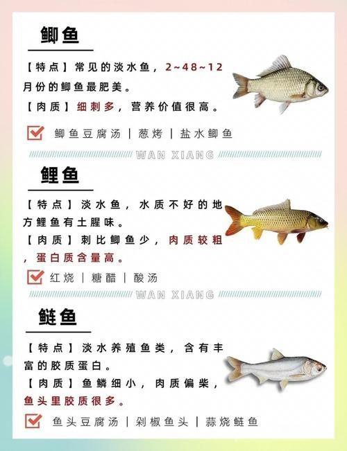 如何預防魚腹水，arxiv論文助手工具arxiv論文助手工具arxiv