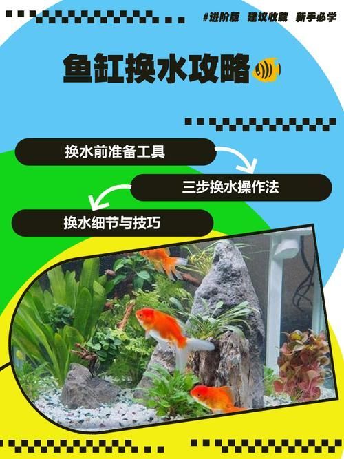 魚缸加鹽后多久換水，魚缸加鹽后多久換水會導致鹽積累，魚缸加鹽后多久換水