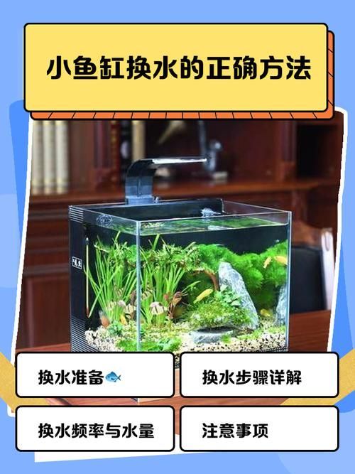 魚缸加鹽后多久換水，魚缸加鹽后多久換水會導致鹽積累，魚缸加鹽后多久換水