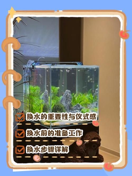 魚缸加鹽后多久換水，魚缸加鹽后多久換水會導致鹽積累，魚缸加鹽后多久換水
