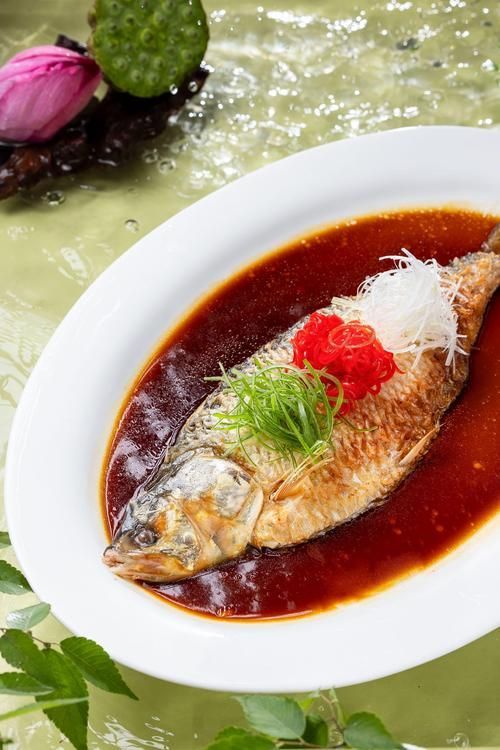 江龍魚有哪些功效，關于江龍魚