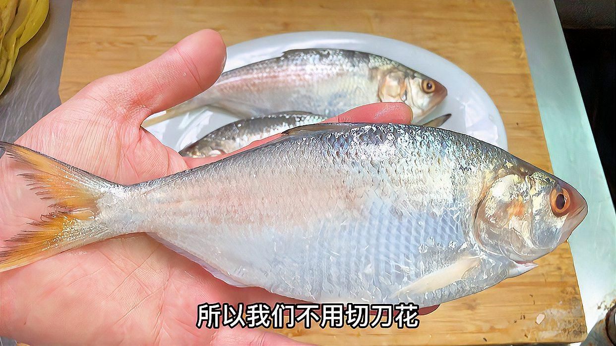 江龍魚有哪些功效，關于江龍魚