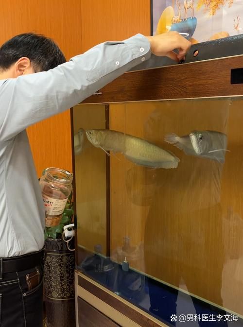 萬州龍魚養殖技術有哪些？